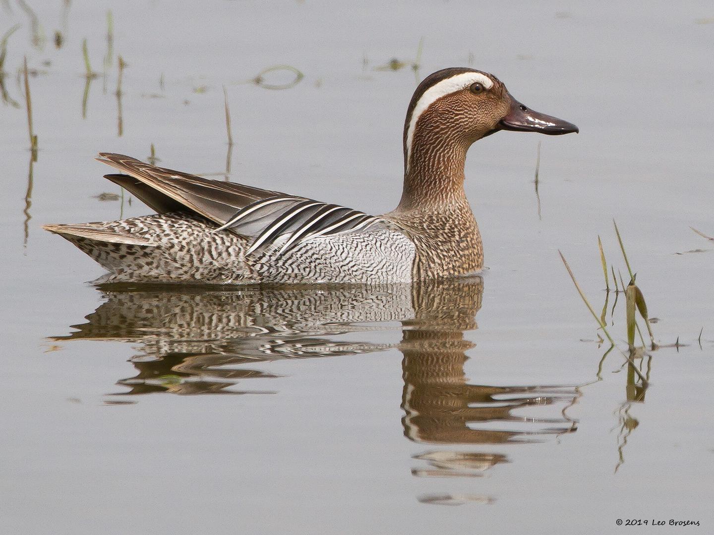 20120517 Zomertaling