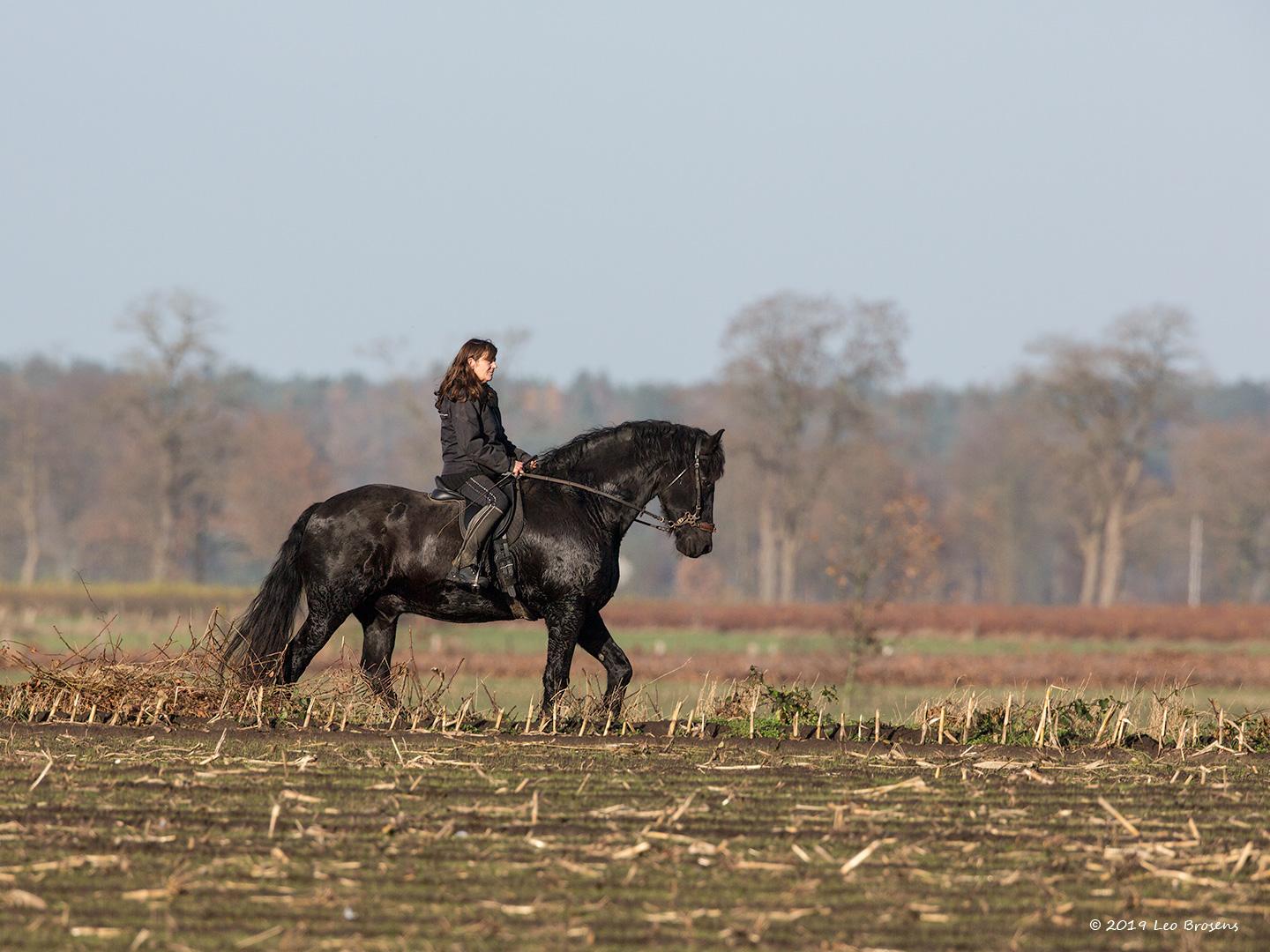 Paardrijden-in-de-Matjes-20131130g14407X1A9849ancrfb.jpg