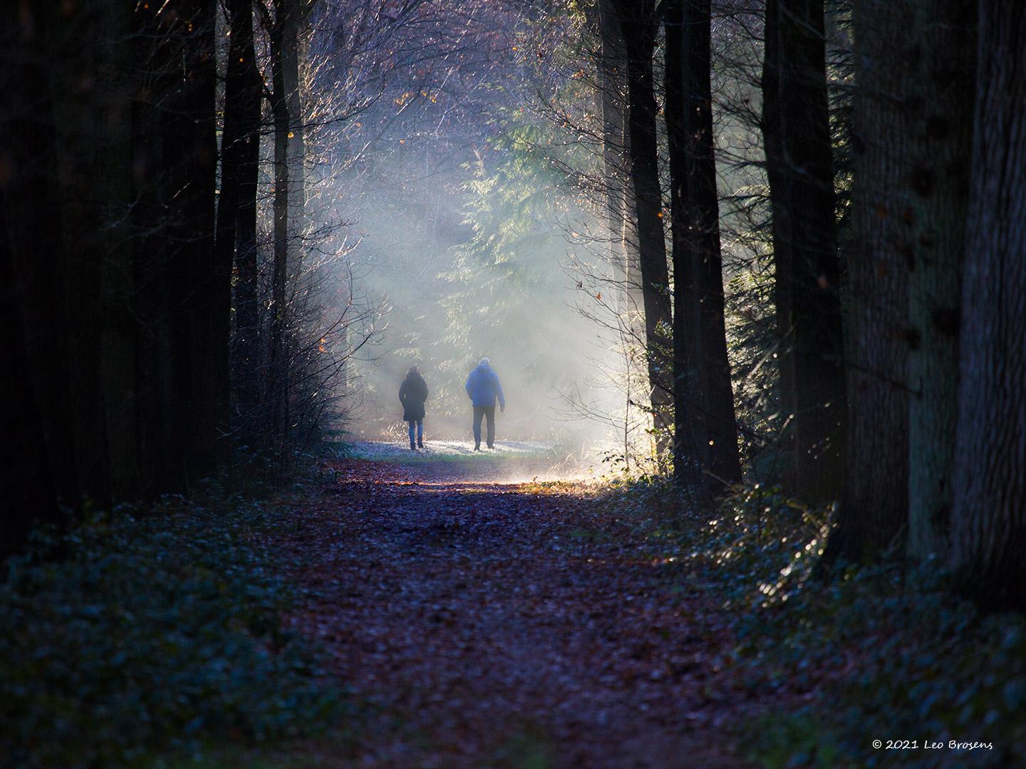 Wandelen-in-Zundert-20210109g14407X1A9486acrfb.jpg