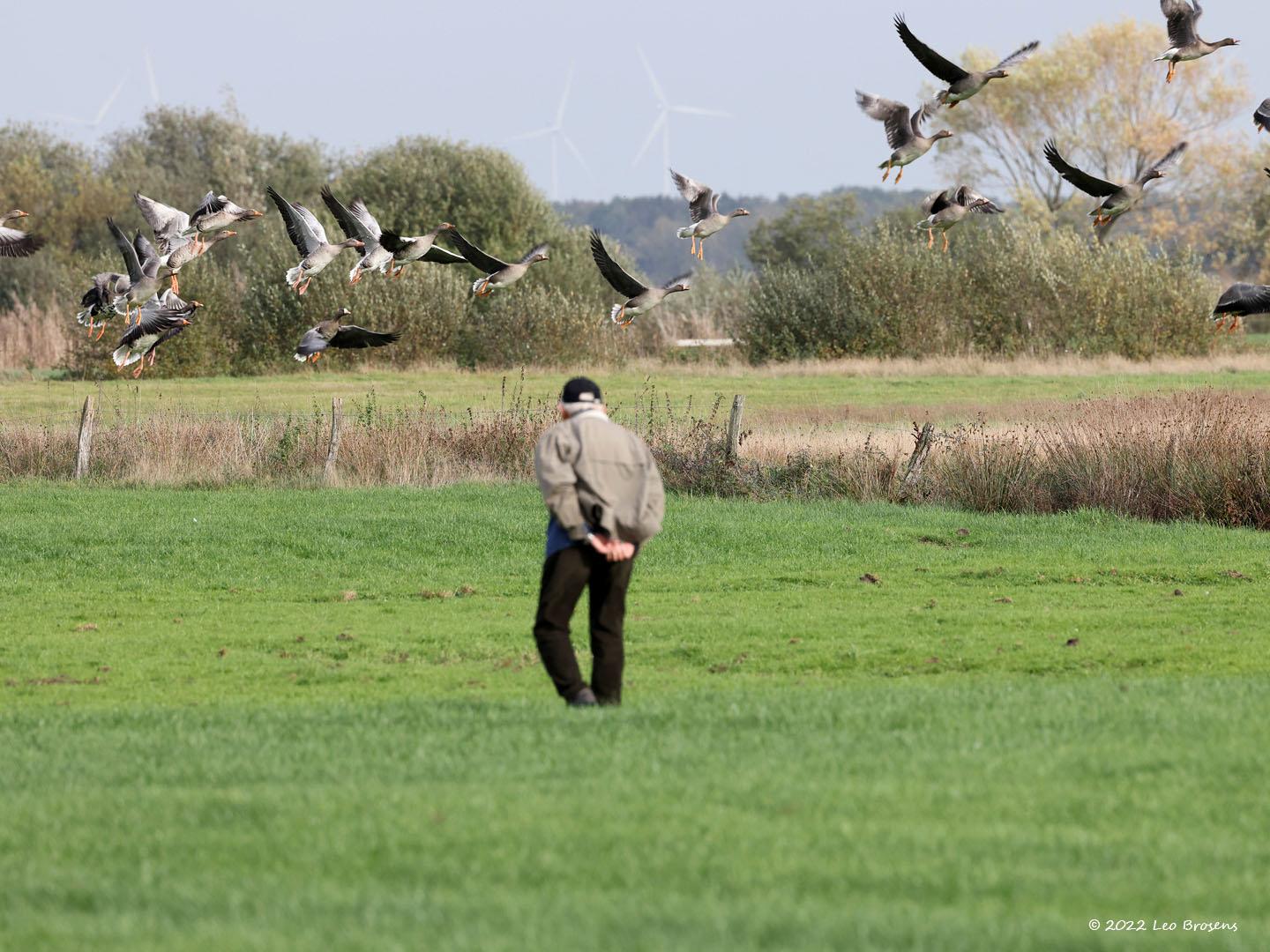 Boertje-20221028g14401A1A5742acrfb-De-Matjens_0.jpg