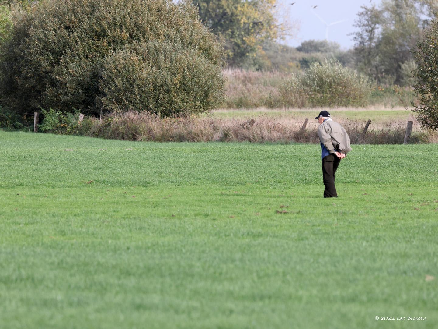 Boertje-20221028g14401A1A5761acrfb-De-Matjens_0.jpg