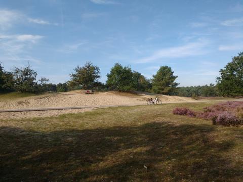 Loonse en Drunense duinen