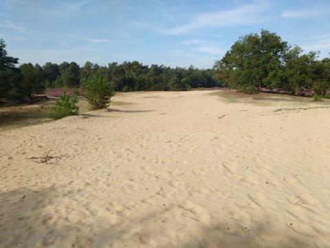 Loonse en Drunense duinen