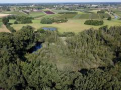 De Krochten  20220730  Nog enkele overzichten. Klein maar belangrijk.