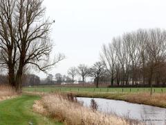 Aalscholver  2023014  Aa of Weerijs