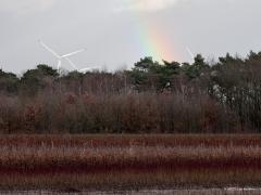 Heel oud en heel jong  20230219   Eens wat anders. Een foto waarin twee zaken te zien zijn die wat leeftijd betreft maximaal ver uit elkaar liggen. Immers, de regenboog is van alle tijden maar de windenergiemolen kennen we zo slechts nog maar een kort aantal jaren. De mooie regenboog zal zich eeuwigdurend regelmatig vertonen, hoe lang zullen dit soort molens onze horizon blijven opsieren c.q. verstieren?