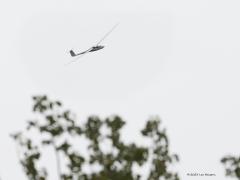 Wielewaal  20230507  Gisteren vroeg in de middag nog eens naar Zondereigen geweest in de hoop de wielewaal weer te zien. Maar helaas, heb de vogel herhaald horen zingen maar ondanks mijn getuur in de kruinen van de hoge populieren zelfs geen glimp van de mooie vogel gezien. Na kwart over twee heb ik hem niet meer gehoord. Wel verscheen boven de populieren een ander vliegend wezen. Even later zag ik een motorvliegtuigje dat een zwever optrok. Toen viel mijn kwartje. Ik zat op 5 km vanaf vliegveld Weel