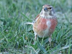 Kneu  20250412  Philipsdam