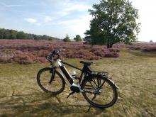 Loonse en Drunense duinen