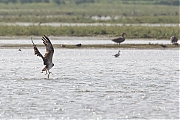 Filename=17.jpg
Filesize=545KiB
Dimensions=1280x960
Date added=Aug 17, 2013 17.jpg