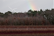 Filename=Beemden-20230109g14401A1A7817acrfb.jpg
Filesize=809KiB
Dimensions=1280x960
Date added=Mar 21, 2023 Beemden-20230109g14401A1A7817acrfb.jpg