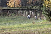 Filename=Blauwe-reiger-20211101g14401A1A2502acrfb-Waaijenberg.jpg
Filesize=1119KiB
Dimensions=1280x960
Date added=Nov 02, 2021 Blauwe-reiger-20211101g14401A1A2502acrfb-Waaijenberg.jpg