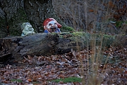 Filename=Boswachters_20241128g14401A1A0149otcrfb_Oude_Buisse_Heide_kopie.jpg
Filesize=807KiB
Dimensions=1280x960
Date added=Dec 02, 2024 Boswachters_20241128g14401A1A0149otcrfb_Oude_Buisse_Heide_kopie.jpg