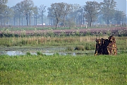LeoOnderDeBurkaDD20100505klein.jpg