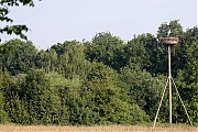 Ooievaar-20240607g14401A1A8931acrfb-Schilderspad-Breda.jpg