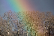 Filename=Regenboog-20190114-g1280-YSXX3742.jpg
Filesize=1101KiB
Dimensions=1280x960
Date added=Jan 17, 2019 Regenboog-20190114-g1280-YSXX3742.jpg