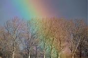 Regenboog-20190114-g1280-YSXX3742.jpg