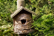 Filename=Roodborst-in-bijennestkastje-20150628g1280_MG_0580a.jpg
Filesize=1036KiB
Dimensions=1280x960
Date added=Jun 28, 2015 Roodborst-in-bijennestkastje-20150628g1280_MG_0580a.jpg