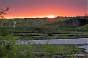 Filename=Schakerloopolder-20240722g14401A1A2764acrfb-Schakerloopolder.jpg
Filesize=740KiB
Dimensions=1280x960
Date added=Aug 02, 2024 Schakerloopolder-20240722g14401A1A2764acrfb-Schakerloopolder.jpg