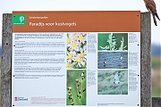 Filename=Schakerloopolder-20240916g14401A1A7378atcrfb-Schakerloopolder.jpg
Filesize=725KiB
Dimensions=1280x960
Date added=Sep 18, 2024 Schakerloopolder-20240916g14401A1A7378atcrfb-Schakerloopolder.jpg