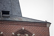 Filename=Slechtvalk-20191124g1280YSXX6093k.jpg
Filesize=696KiB
Dimensions=1280x853
Date added=Nov 25, 2019 Slechtvalk-20191124g1280YSXX6093k.jpg