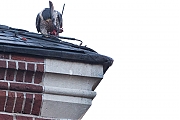Filename=Slechtvalk-20191124g1280YSXX6278a.jpg
Filesize=463KiB
Dimensions=1280x960
Date added=Nov 25, 2019 Slechtvalk-20191124g1280YSXX6278a.jpg