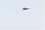 Filename=Sperwer-20170522g1280YSXX8905a.jpg
Filesize=338KiB
Dimensions=1280x960
Date added=May 25, 2017 Sperwer-20170522g1280YSXX8905a.jpg