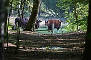Filename=Stier-20180502g1280YSXX2301a.jpg
Filesize=890KiB
Dimensions=1280x960
Date added=May 02, 2018 Stier-20180502g1280YSXX2301a.jpg