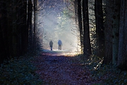 Filename=Wandelen-in-Zundert-20210109g12807X1A9486a.jpg
Filesize=816KiB
Dimensions=1280x960
Date added=Jan 10, 2021 Wandelen-in-Zundert-20210109g12807X1A9486a.jpg
