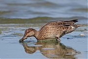 Wintertaling-20110819IMG_9787a.jpg