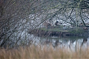 Filename=Wintertaling-20170207g1280YSXX6467a.jpg
Filesize=987KiB
Dimensions=1280x960
Date added=Feb 07, 2017 Wintertaling-20170207g1280YSXX6467a.jpg