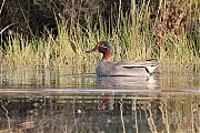 Filename=Wintertaling-20170523g1280YSXX9028a.jpg
Filesize=940KiB
Dimensions=1280x960
Date added=May 23, 2017 Wintertaling-20170523g1280YSXX9028a.jpg