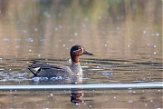 Filename=Wintertaling-20170523g1280YSXX9045a.jpg
Filesize=608KiB
Dimensions=1280x960
Date added=May 25, 2017 Wintertaling-20170523g1280YSXX9045a.jpg