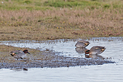 Filename=Wintertaling-20171117g1280YSXX9779a.jpg
Filesize=926KiB
Dimensions=1280x960
Date added=Nov 17, 2017 Wintertaling-20171117g1280YSXX9779a.jpg