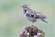 Filename=YSXX7315tenm7332kg8.jpg
Filesize=718KiB
Dimensions=1280x960
Date added=Mar 20, 2020 YSXX7315tenm7332kg8.jpg