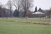 Filename=nRee-20240210g14401A1A8356acrfb-Riel-Lammerweg.jpg
Filesize=803KiB
Dimensions=1280x960
Date added=Feb 22, 2024 nRee-20240210g14401A1A8356acrfb-Riel-Lammerweg.jpg