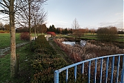 Filename=Assortimentstuin-20120108g1500IMG_0331a.jpg
Filesize=1041KiB
Dimensions=1500x1000
Date added=Jan 21, 2012 Assortimentstuin-20120108g1500IMG_0331a.jpg