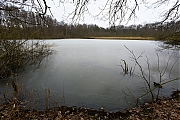 Filename=De-Krochten-20130223g15007X1A4608a.jpg
Filesize=492KiB
Dimensions=1500x1000
Date added=Feb 23, 2013 De-Krochten-20130223g15007X1A4608a.jpg