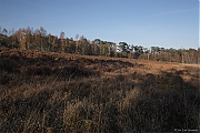Filename=DeBeemden20111116g1280D.jpg
Filesize=905KiB
Dimensions=1280x853
Date added=Jan 04, 2012 DeBeemden20111116g1280D.jpg