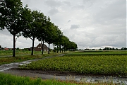 Filename=Hulsdonk-20120714g1500IMG_0947a.jpg
Filesize=696KiB
Dimensions=1500x1000
Date added=Jul 14, 2012 Hulsdonk-20120714g1500IMG_0947a.jpg