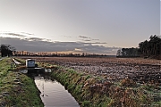Filename=Leise-20111210g1280a.jpg
Filesize=778KiB
Dimensions=1280x853
Date added=Jan 04, 2012 Leise-20111210g1280a.jpg