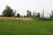 Filename=Oostvaardersplassen-20130611g1500IMG_0216a.jpg
Filesize=496KiB
Dimensions=1500x1000
Date added=Jun 13, 2013 Oostvaardersplassen-20130611g1500IMG_0216a.jpg