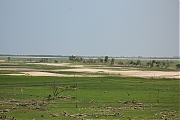Filename=Oostvaardersplassen-20130611g1500IMG_0225a.jpg
Filesize=493KiB
Dimensions=1500x1000
Date added=Jun 13, 2013 Oostvaardersplassen-20130611g1500IMG_0225a.jpg
