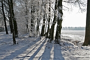 Filename=Pannenhoef-20120204g1500IMG_0530a.jpg
Filesize=774KiB
Dimensions=1500x1000
Date added=Feb 20, 2012 Pannenhoef-20120204g1500IMG_0530a.jpg