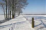Filename=Pannenhoef-20120204g1500IMG_0547a.jpg
Filesize=700KiB
Dimensions=1500x1000
Date added=Feb 20, 2012 Pannenhoef-20120204g1500IMG_0547a.jpg