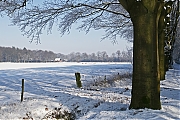 Filename=Pannenhoef-20120204g1500IMG_0565a.jpg
Filesize=754KiB
Dimensions=1500x1000
Date added=Feb 20, 2012 Pannenhoef-20120204g1500IMG_0565a.jpg