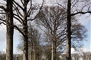 Filename=Wallsteijn-20120318g1500IMG_0649a.jpg
Filesize=803KiB
Dimensions=1000x1500
Date added=Mar 18, 2012 Wallsteijn-20120318g1500IMG_0649a.jpg