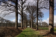 Filename=Wallsteijn-20120318g1500IMG_0653b.jpg
Filesize=977KiB
Dimensions=1500x1000
Date added=Mar 18, 2012 Wallsteijn-20120318g1500IMG_0653b.jpg