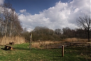 Filename=Wallsteijn-20120318g1500IMG_0662a.jpg
Filesize=704KiB
Dimensions=1500x1000
Date added=Mar 18, 2012 Wallsteijn-20120318g1500IMG_0662a.jpg