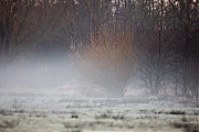 De-Krochten-20150305-700-g15007X1A2638a.jpg